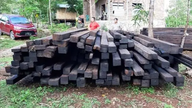 Penyidik Gakkum KLHK Wilayah Sulawesi Amankan Kayu Ilegal di Pelabuhan Bira