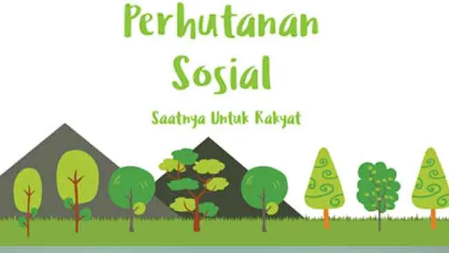 Perhutanan Sosial Mampu Keluarkan Masyarakat dari Jerat Kemiskinan, Benarkah?