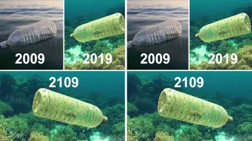 Peringati Hari Bumi 2019, Ajakan Renungkan Tagar #10YEARCHALLENGEOFEARTH Digaungkan