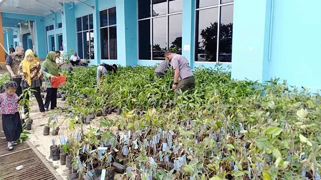 Sabrina Terkejut, Ada Ribuan Bibit Mangga Gratis di Pameran Indogreen