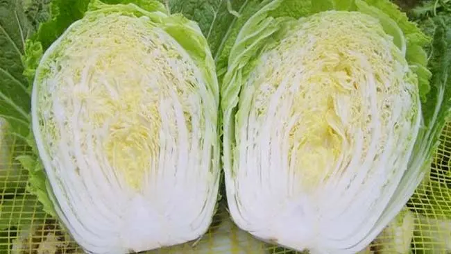 Selain Renyah, Sayur Sawi Putih Punya 3 Manfaat yang Menakjubkan