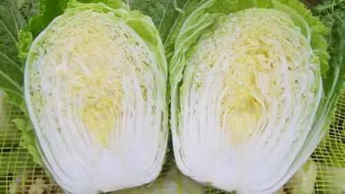 Selain Renyah, Sayur Sawi Putih Punya 3 Manfaat yang Menakjubkan