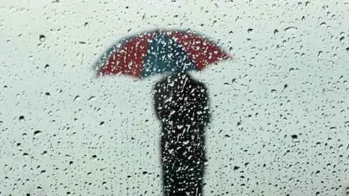 Sepasang Mata Hujan