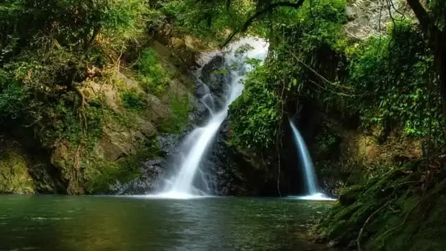 5 Destinasi Eksotik yang Dekat dengan Alam, dari Ikan Raksasa hingga Hutan Tertua di Dunia