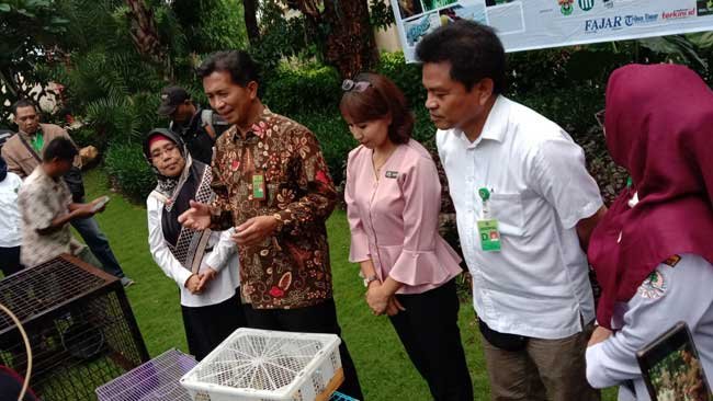 Melepasliarkan Satwa Tak Bisa Sembarangan, Ini Syaratnya!