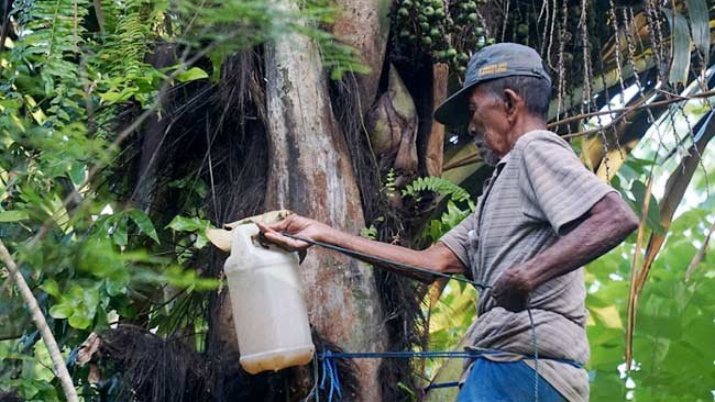 DMT Terus Bergerak Dampingi Petani Penyadap Gula Aren dan Rawat DAS Balangtieng