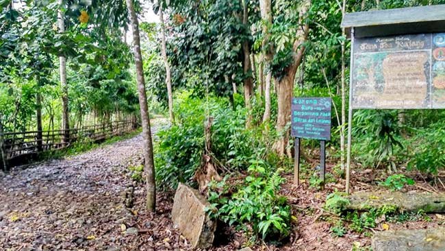 Kearifan Lokal Suku Kajang dalam Melestarikan Hutan