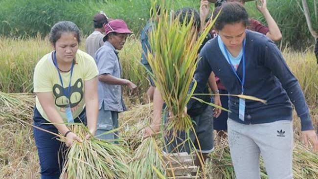 Kisah Inspiratif dari Sekolah Sawah di Gunung Merapi