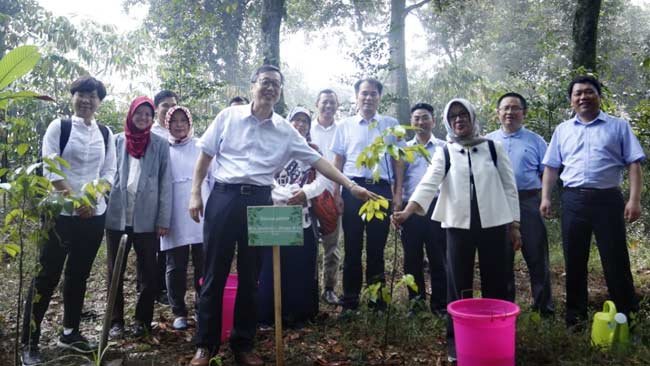 Lestarikan Hutan, KLHK Siap Perluas Kerjasama dengan CAF Tiongkok