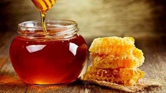 Melacak Penyebab Lebah Menghasilkan Madu Lebih Sedikit
