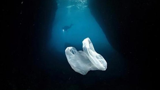 Mencemaskan, Kini Laut Terdalam di Dunia pun Mulai Dihuni  Plastik