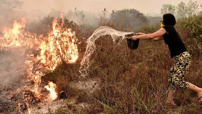 Manggala Agni Diharapkan Fasilitasi Masyarakat Agar Tak Bakar Hutan dan Lahan