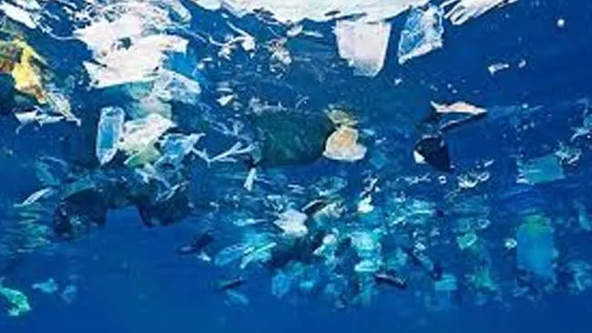 Ngeri, Pencemaran Plastik di Laut Ancam Oksigen yang Kita Hirup