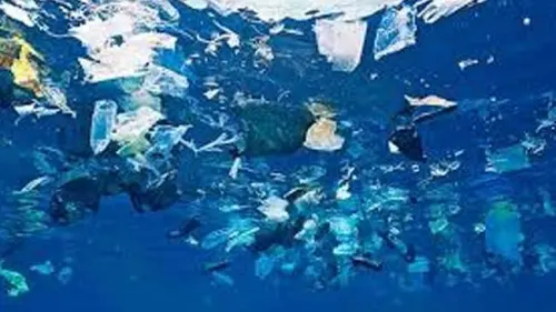Ngeri, Pencemaran Plastik di Laut Ancam Oksigen yang Kita Hirup