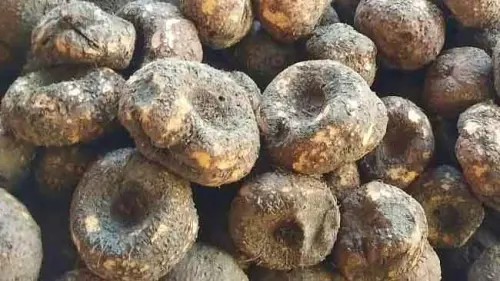 Selain Bisa Jernihkan Air, Ini Manfaat lain dari Tire