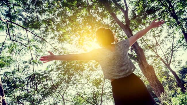 Manfaat Tak Terduga dari Pohon, Dapat Meningkatkan Kesehatan Mental