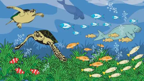 9 Negara Bahas Perlindungan Laut dari Polusi dan Sampah Plastik di Bali