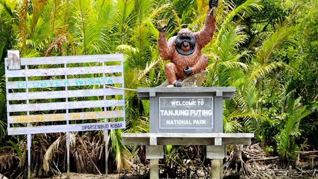 Begini Peran TNTP sebagai Kawasan Konservasi dan Pendorong Kemajuan Wilayah