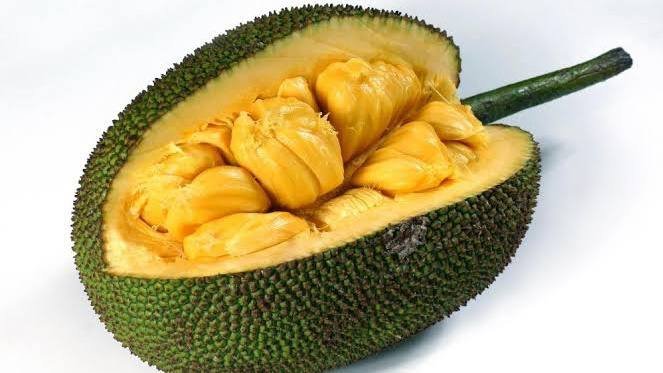 Buah Pembunuh Kanker itu Bernama Nangka
