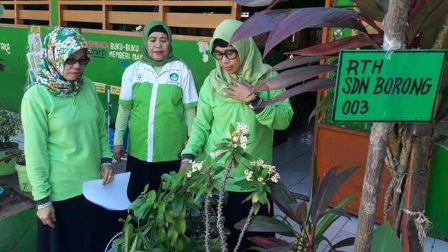 Jawaban Cerdas Nebu Sambut Tim Verifikasi Adiwiyata Sulsel di SDN Borong
