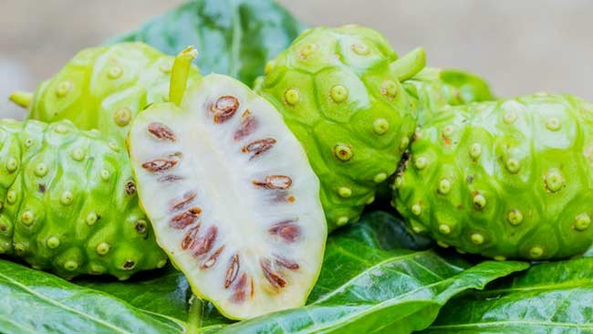 Mengkudu: Bisa Kurangi Stres hingga Atasi Arthritis