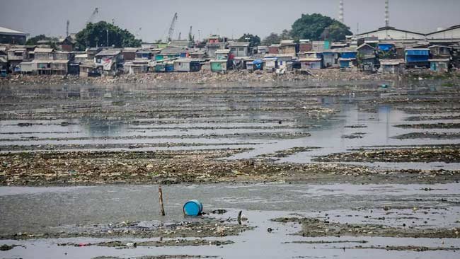 Pulau Sampah di Waduk Pluit yang Airnya Menyusut