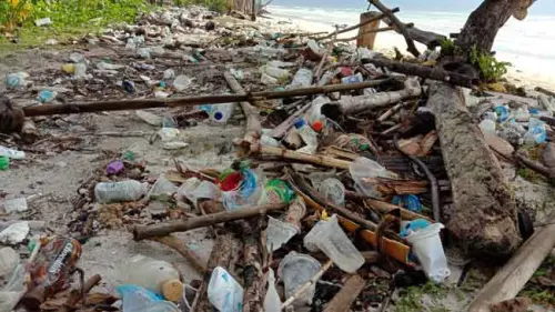 Kiriman Sampah Daratan ke Laut Semakin Massif, KLHK: Perlu Partisipasi Multi Pihak