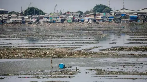 Pulau Sampah di Waduk Pluit yang Airnya Menyusut
