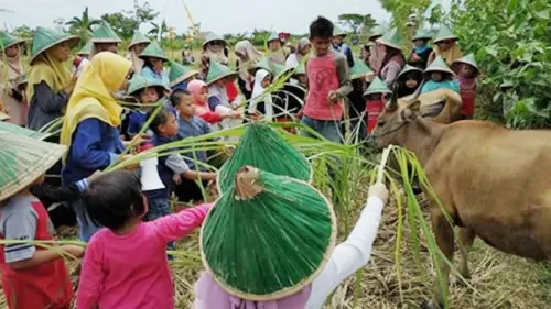 5 Hal Istimewa di Rumah Hijau Denassa yang Membuat Anak Ceria