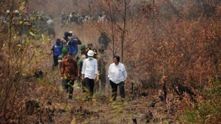 Divonis Bersalah Kasus Karhutla, Siti: Justru Pak Jokowi yang Membenahi
