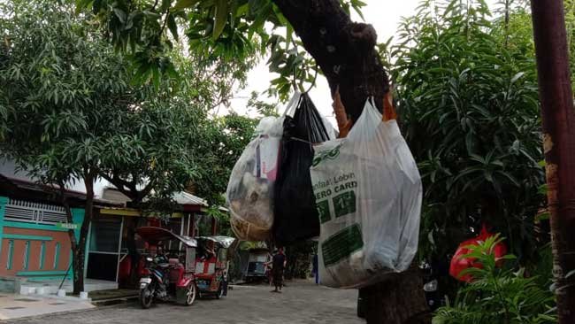 Ketika Pohon-Pohon Menjelma Jadi Tempat Sampah