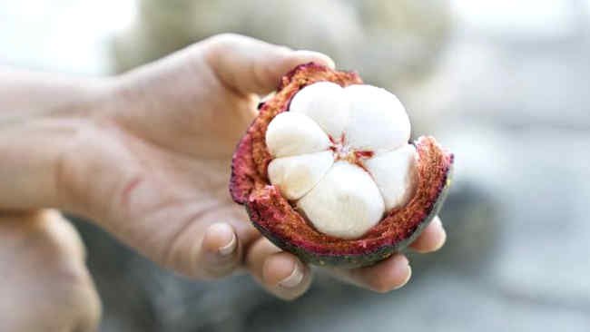Pada Buah Manggis, Anda Bisa Temukan Manfaat Ini!