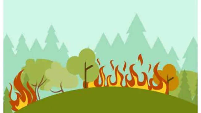 Agustus Bukan Hanya Puncak Kemerdekaan, Tapi Juga Puncak Karhutla