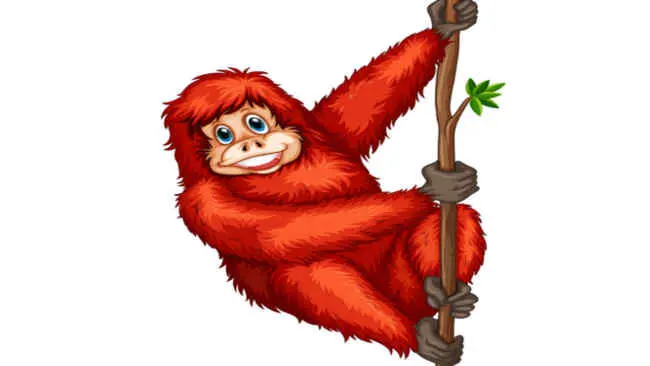 Edgar Jadi Orang Utan ke 400 yang Dilepasliarkan di Hutan Kalimantan