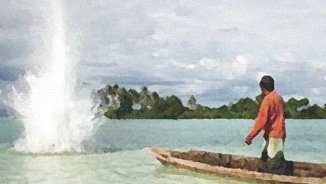 Gurita Bom Ikan di Laut Maginti