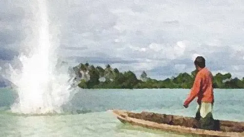 Gurita Bom Ikan di Laut Maginti