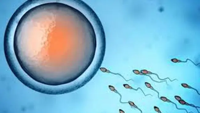 Kualitas Sperma Pria Dipengaruhi Polusi Udara