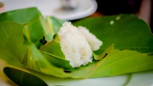 Membungkus Makanan dengan Daun Jati? Ini Manfaatnya!