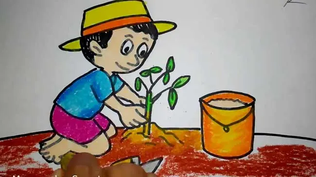 Perangi Pemanasan Global dengan Cara Menanam Pohon, Murah dan Efektif
