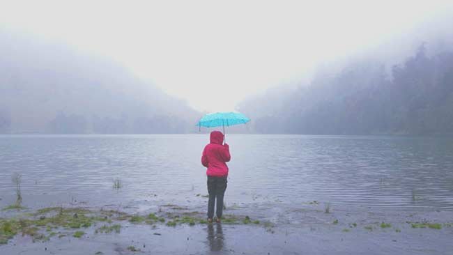 Berwisata dan Berburu Kabut di Seputar Malang Raya, Ini Tempatnya!