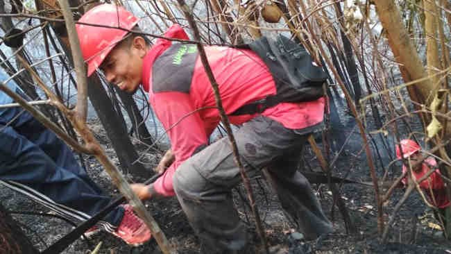 Mengenang Asmara, Lelaki yang Gugur dalam Tugas Pemadaman Karhutla