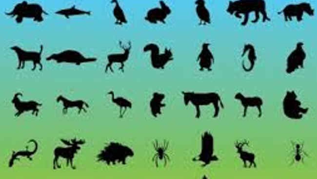 WWF Temukan Jumlah Satwa Liar Telah Menurun 73% dalam Setengah Abad