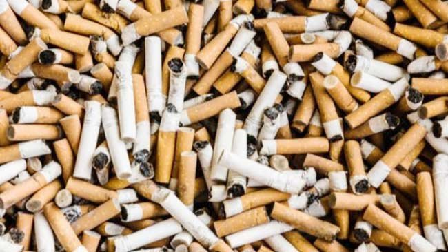 7 Dampak Rokok Terhadap Lingkungan Global