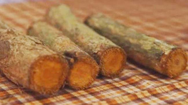 Tentang Bajakah, Kanker dan Potensi Eksploitasi Hutan Kalimantan