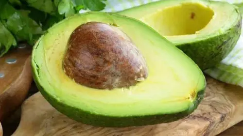 Alpukat, Super Fruit yang Kaya Manfaat dan Cara Membudidayakannya