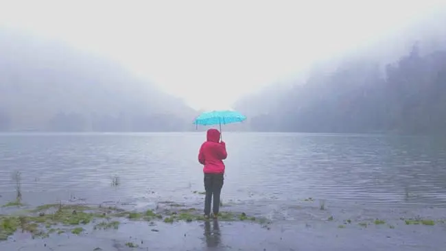 Berwisata dan Berburu Kabut di Seputar Malang Raya, Ini Tempatnya!