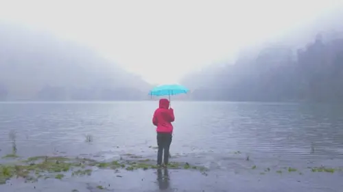 Berwisata dan Berburu Kabut di Seputar Malang Raya, Ini Tempatnya!