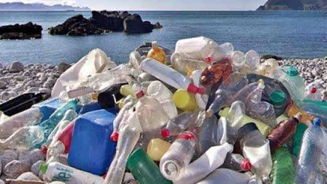 Di Restoran Ini Seporsi Nasi Hanya Dibayar dengan Sampah