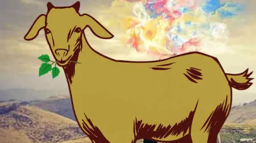 Intip Cara Sederhana Menghilangkan Bau Daging Kambing!