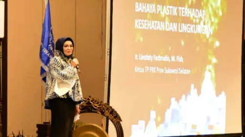 Liestiaty F Nurdin, Terus Bergerak Kampanyekan Bahaya Sampah Plastik